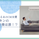 ダスキンのCM女優は誰！？