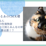 ドラえもん のび太の牧場物語 大自然の王国とみんなの家のCM女優は誰！？