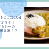 プロ クオリティ ビーフカレーのCM女優は誰！？