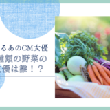 十六種類の野菜のCM女優は誰！？