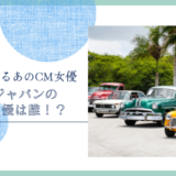 損保ジャパンのCM女優は誰！？