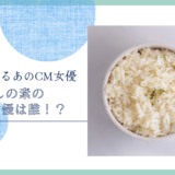 釜めしの素のCM女優は誰！？