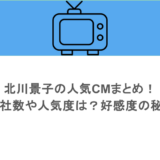 北川景子の人気CMまとめ！起用社数や人気度は？好感度の秘密も