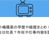 小嶋陽菜の学歴や経歴まとめ！現在は社長？年収や仕事内容を調査