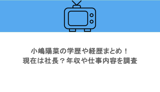 小嶋陽菜の学歴や経歴まとめ！現在は社長？年収や仕事内容を調査